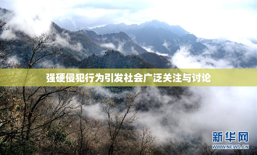 强硬侵犯行为引发社会广泛关注与讨论