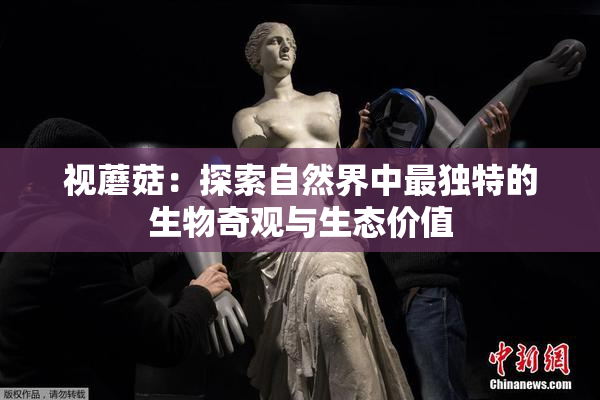 视蘑菇：探索自然界中最独特的生物奇观与生态价值