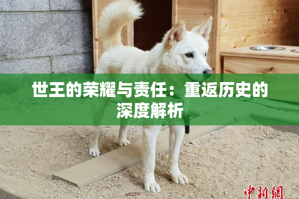 世王的荣耀与责任：重返历史的深度解析