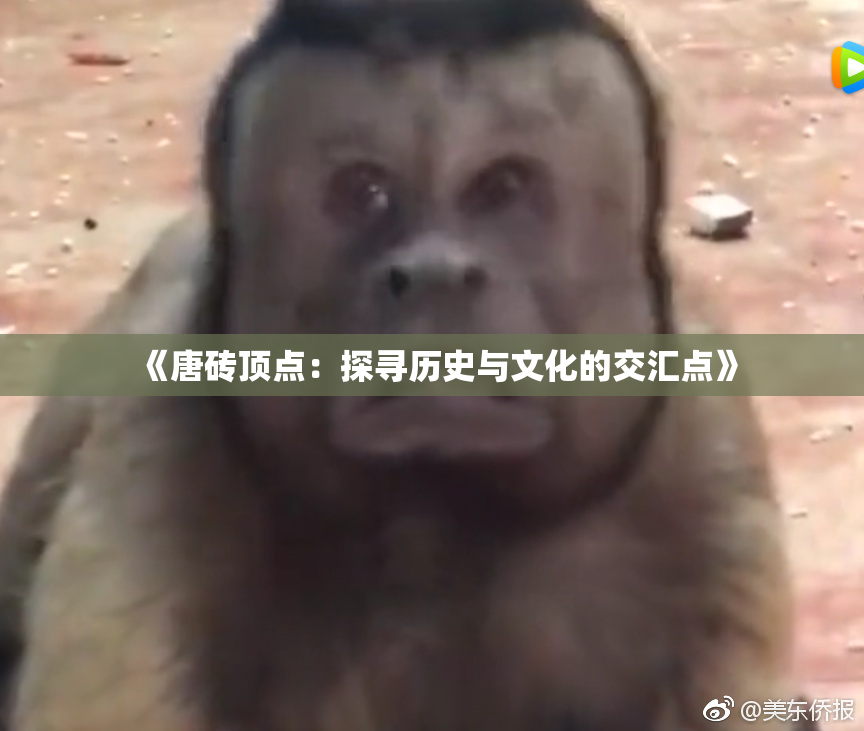 《唐砖顶点：探寻历史与文化的交汇点》