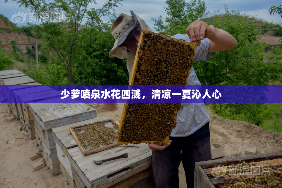少萝喷泉水花四溅，清凉一夏沁人心