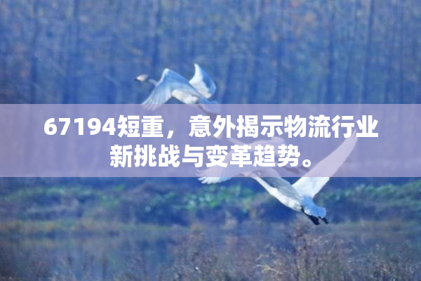 67194短重，意外揭示物流行业新挑战与变革趋势。