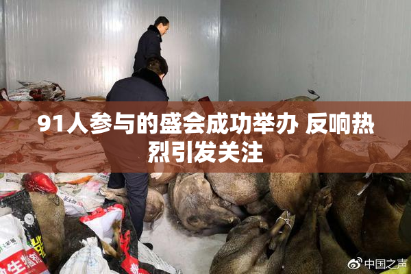 91人参与的盛会成功举办 反响热烈引发关注