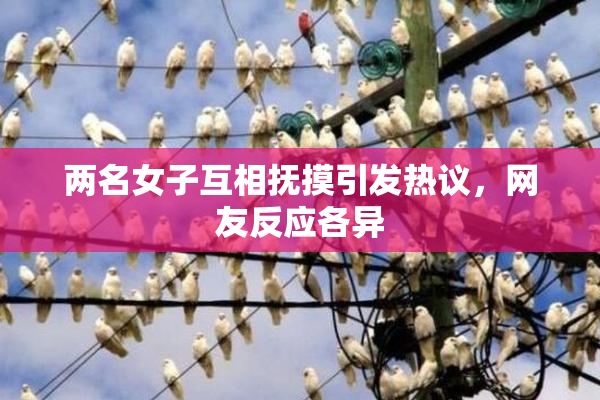 两名女子互相抚摸引发热议，网友反应各异
