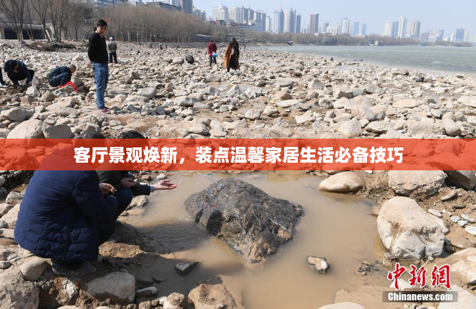 客厅景观焕新，装点温馨家居生活必备技巧