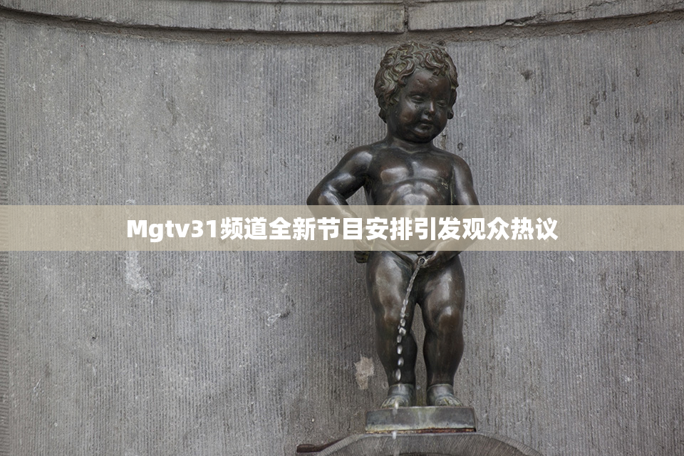 Mgtv31频道全新节目安排引发观众热议