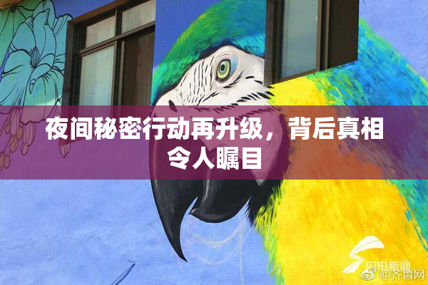 夜间秘密行动再升级，背后真相令人瞩目