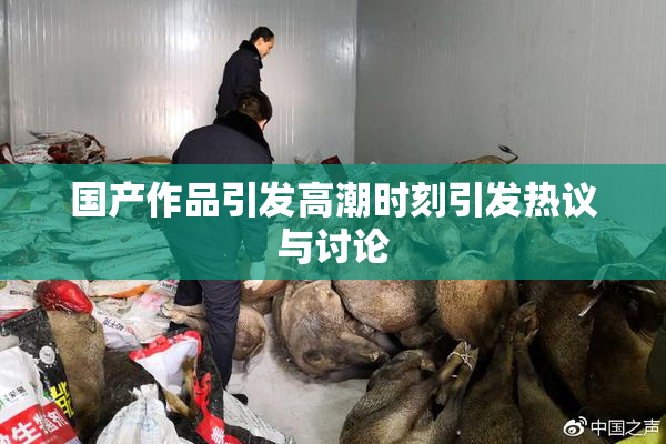 国产作品引发高潮时刻引发热议与讨论