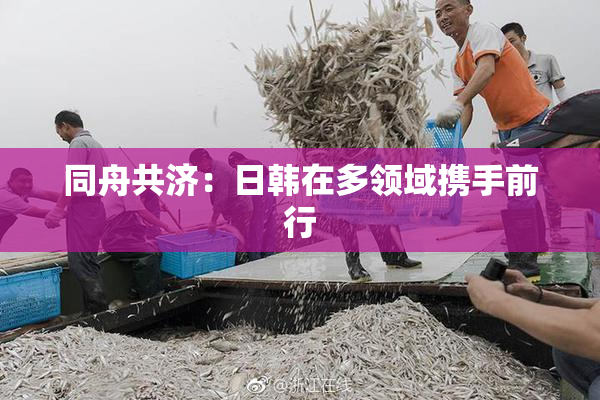 同舟共济：日韩在多领域携手前行