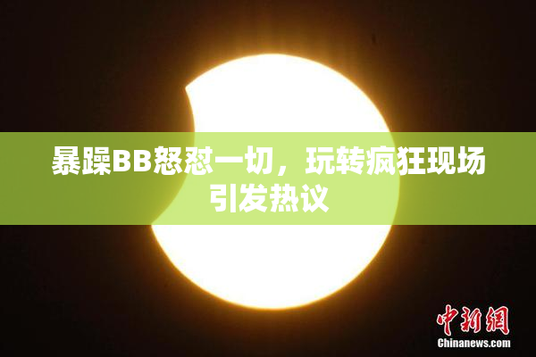 暴躁BB怒怼一切，玩转疯狂现场引发热议