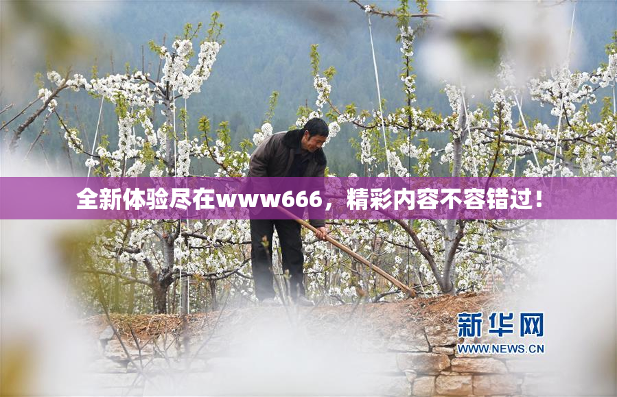 全新体验尽在www666，精彩内容不容错过！
