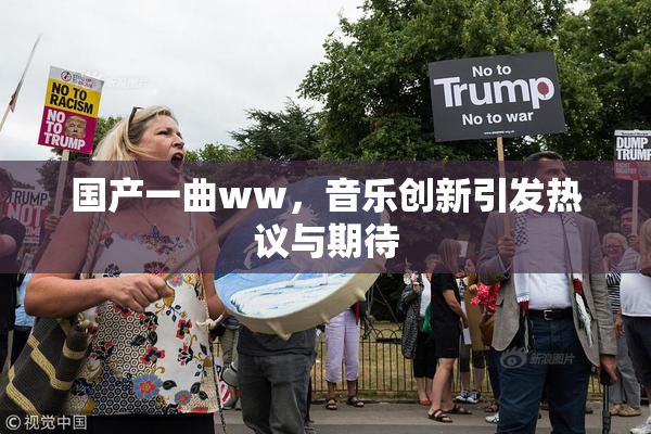 国产一曲ww，音乐创新引发热议与期待