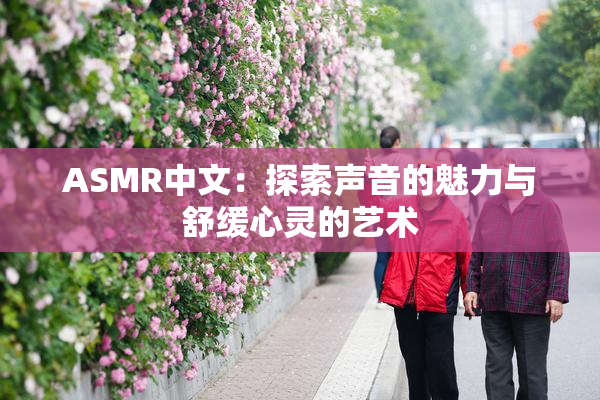 ASMR中文：探索声音的魅力与舒缓心灵的艺术