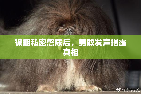 被捆私密憋尿后，勇敢发声揭露真相