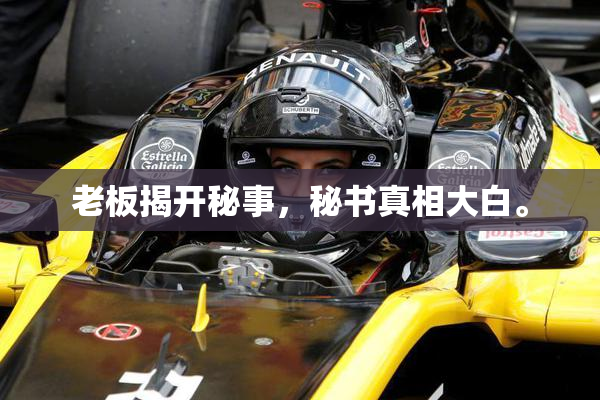 老板揭开秘事，秘书真相大白。