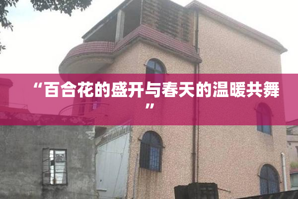 “百合花的盛开与春天的温暖共舞”