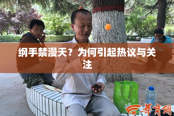 纲手禁漫天？为何引起热议与关注