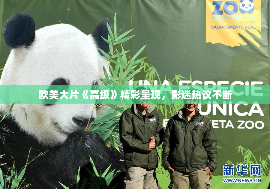 欧美大片《高级》精彩呈现，影迷热议不断