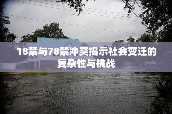 18禁与78禁冲突揭示社会变迁的复杂性与挑战