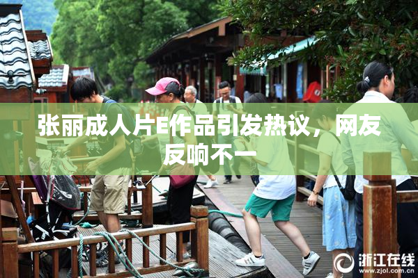 张丽成人片E作品引发热议，网友反响不一