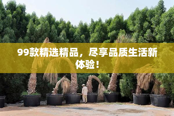 99款精选精品，尽享品质生活新体验！