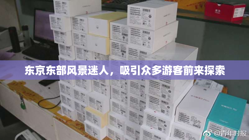 东京东部风景迷人，吸引众多游客前来探索
