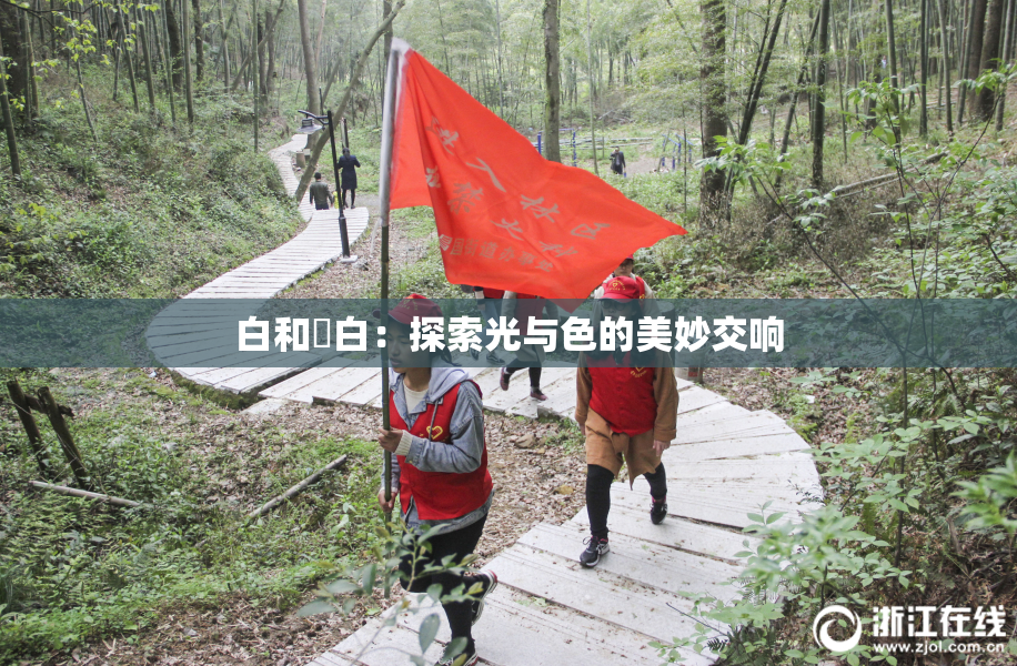 白和晄白：探索光与色的美妙交响