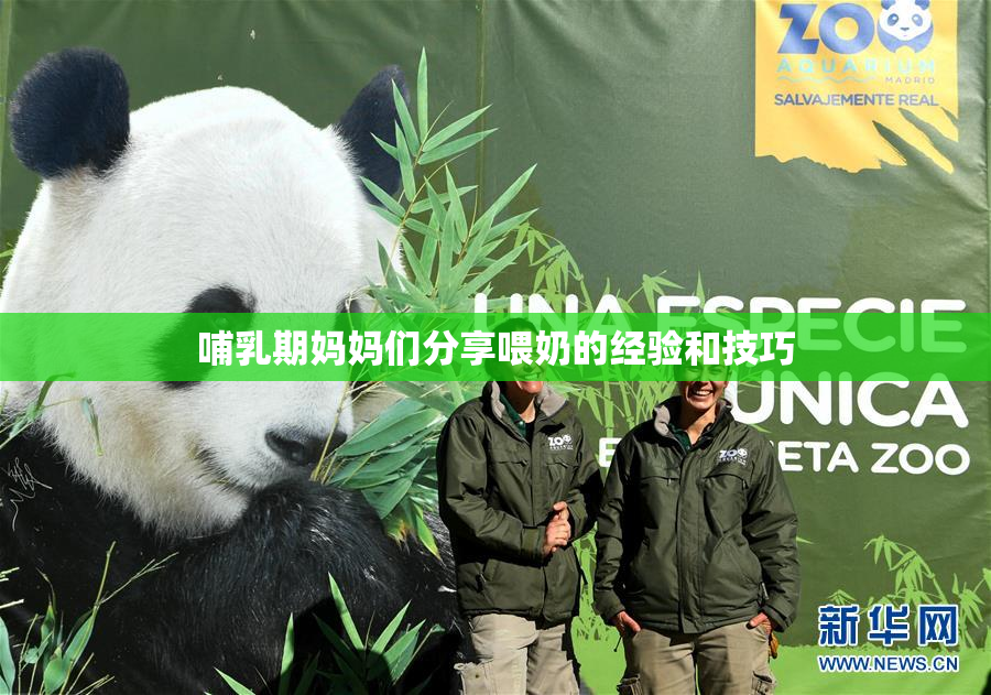 哺乳期妈妈们分享喂奶的经验和技巧