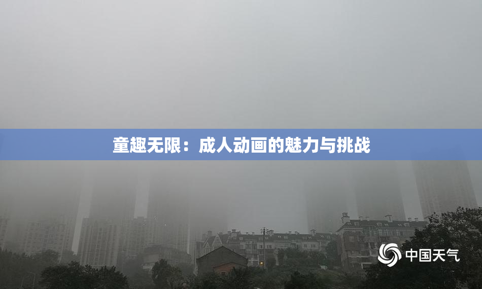 童趣无限：成人动画的魅力与挑战