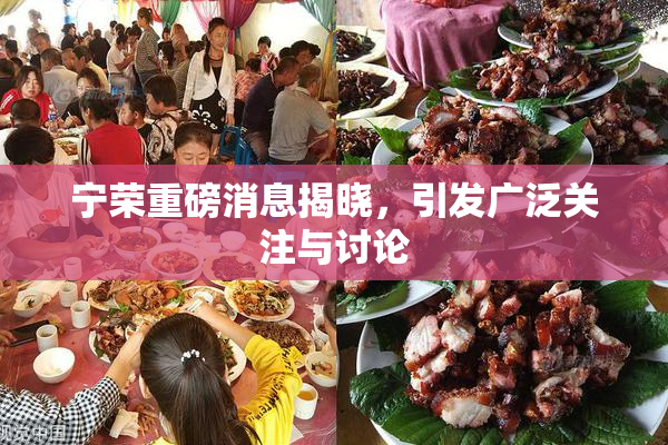 宁荣重磅消息揭晓，引发广泛关注与讨论