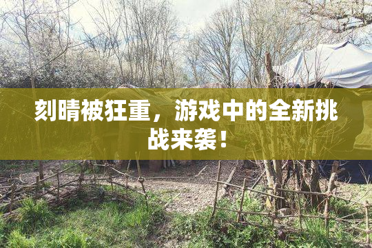 刻晴被狂重，游戏中的全新挑战来袭！