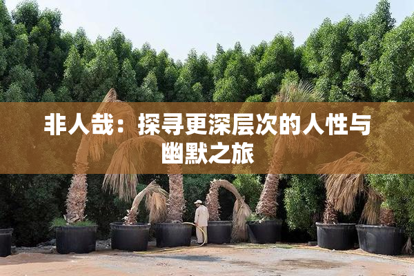 非人哉：探寻更深层次的人性与幽默之旅