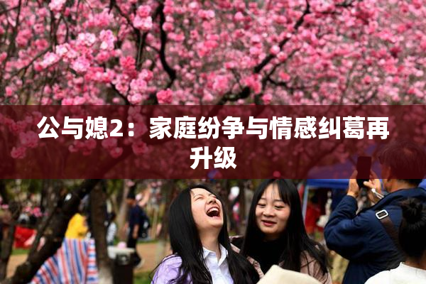 公与媳2：家庭纷争与情感纠葛再升级