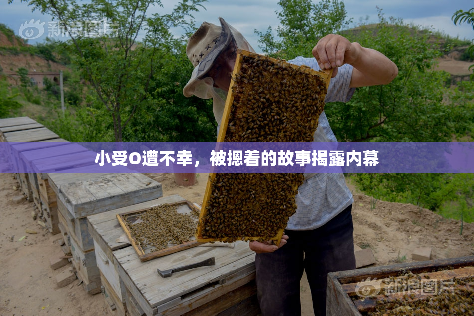 小受O遭不幸，被摁着的故事揭露内幕