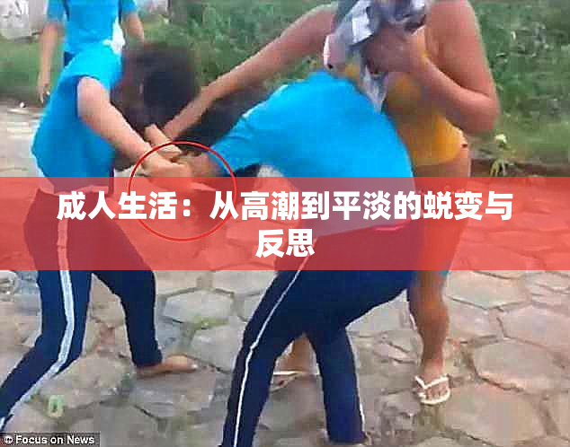 成人生活：从高潮到平淡的蜕变与反思