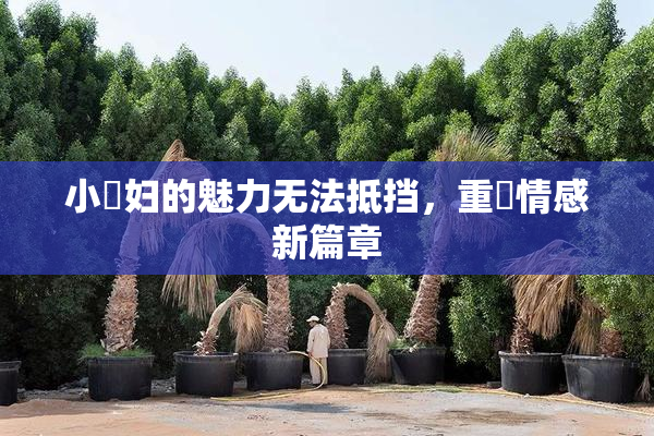 小婬妇的魅力无法抵挡，重啟情感新篇章