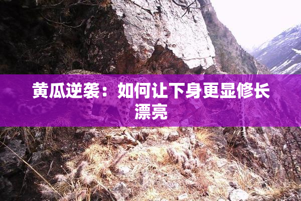 黄瓜逆袭：如何让下身更显修长漂亮