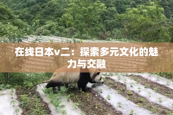 在线日本v二：探索多元文化的魅力与交融