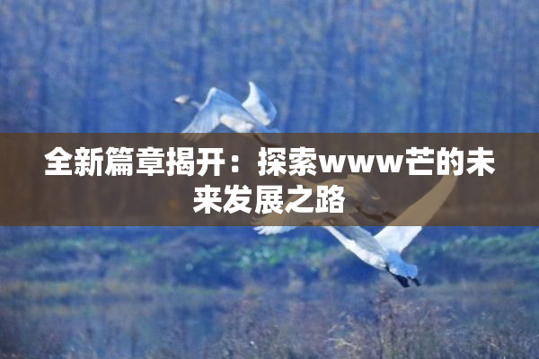 全新篇章揭开：探索www芒的未来发展之路