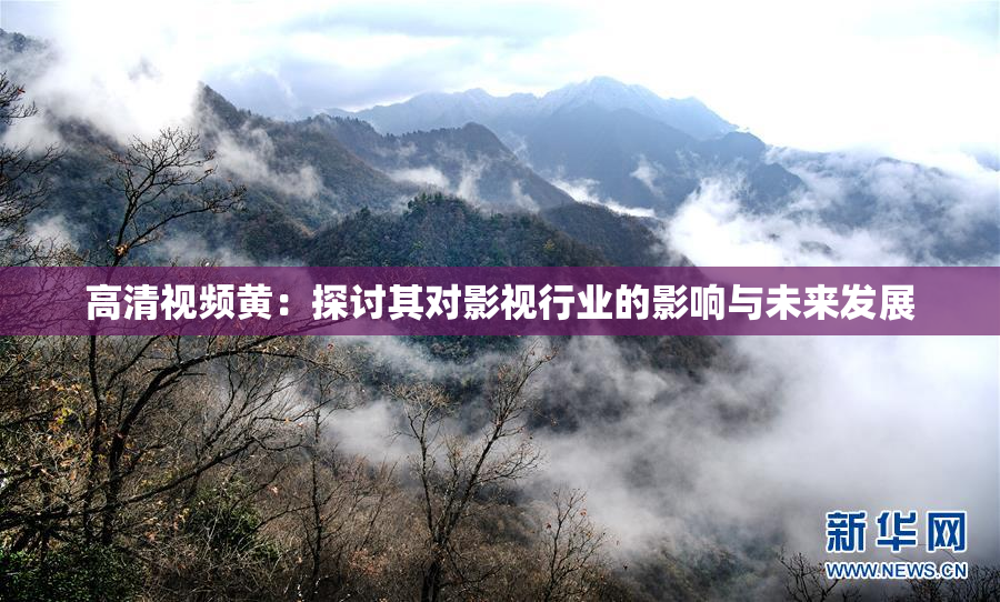 高清视频黄：探讨其对影视行业的影响与未来发展