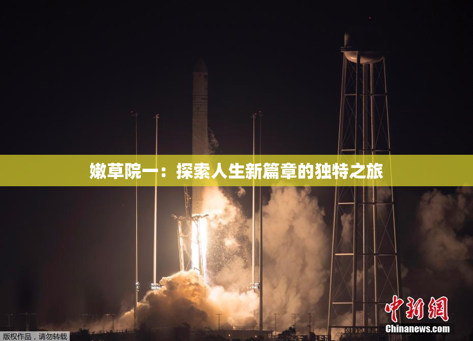 嫩草院一：探索人生新篇章的独特之旅