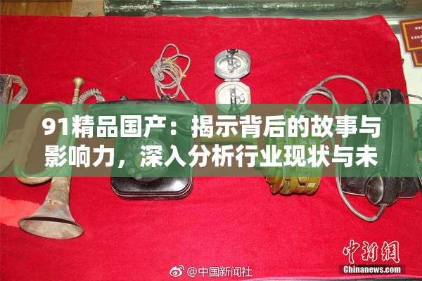 91精品国产：揭示背后的故事与影响力，深入分析行业现状与未来趋势