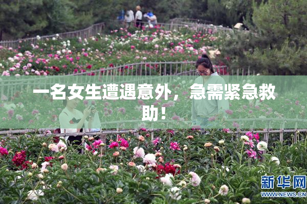 一名女生遭遇意外，急需紧急救助！