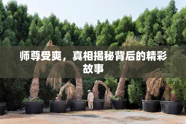 师尊受爽，真相揭秘背后的精彩故事