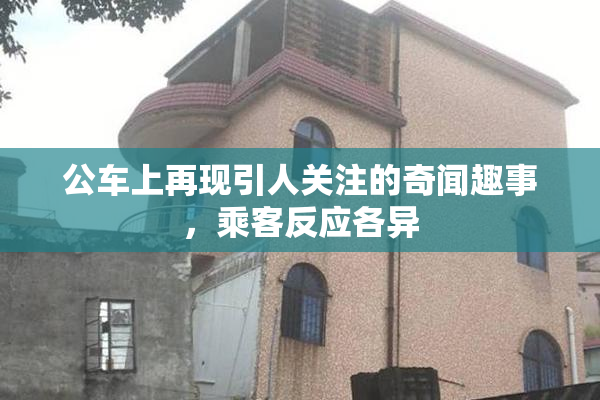 公车上再现引人关注的奇闻趣事，乘客反应各异