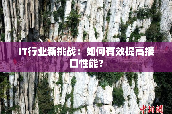 IT行业新挑战：如何有效提高接口性能？
