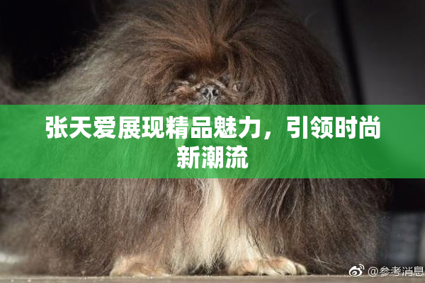 张天爱展现精品魅力，引领时尚新潮流