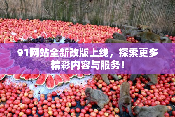 91网站全新改版上线，探索更多精彩内容与服务！