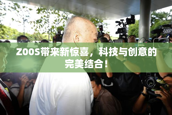 Z00S带来新惊喜，科技与创意的完美结合！