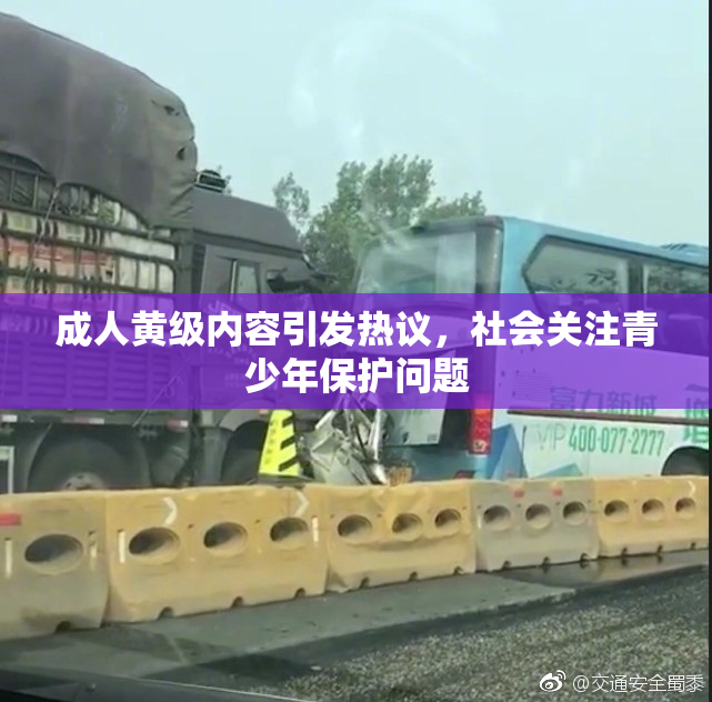 成人黄级内容引发热议，社会关注青少年保护问题